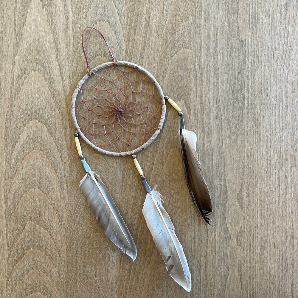 NWT Feather Dreamcatcher